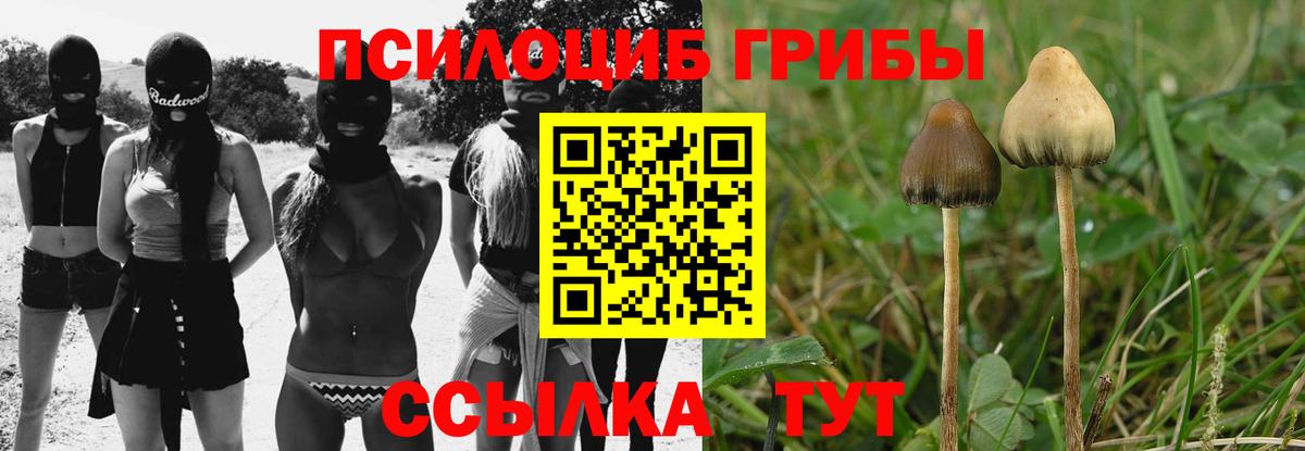 цены   Вход с VPN  Зеленокумск  Псилоцибиновые грибы ЛСД 